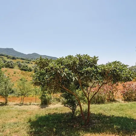 Awesome In W/ Wifi And 2 Bedrooms Sollacaro